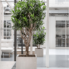 Plantenbak Cube beige 50x50x45 cm