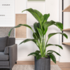 Plantenbak Cylinder antraciet Ø40×40 cm