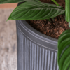 Plantenbak Cylinder antraciet Ø40×40 cm