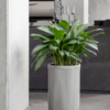 Plantenbak Cylinder groen Ø37×57 cm