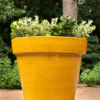 Plantenbak Ashley Geel Ø60×53 cm