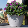 Plantenbak Capi Arc Granite Grijs Ø48×35 cm