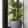 Plantenbak Capi Arc Granite
  Antraciet Ø114×90 cm
