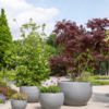 Plantenbak Capi Arc Granite Grijs Ø67×45 cm