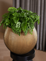 Plantenbak Capi Nature Groove Goud Ø39×33 cm Plantenbak Capi Nature Groove Goud Ø39×33 cm