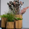 Plantenbak Capi Nature Groove Goud Ø14×22 cm