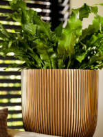 Plantenbak Capi Nature Groove Goud Ø42×40 cm Plantenbak Capi Nature Groove Goud Ø42×40 cm
