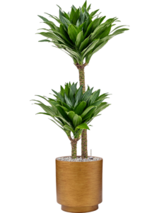 Plantenbak Capi Lux Retro Goud Ø23×25 cm