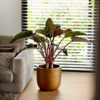 Plantenbak Capi Lux Retro Goud Ø35×34 cm