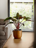 Plantenbak Capi Lux Retro Goud Ø42×40 cm Plantenbak Capi Lux Retro Goud Ø42×40 cm