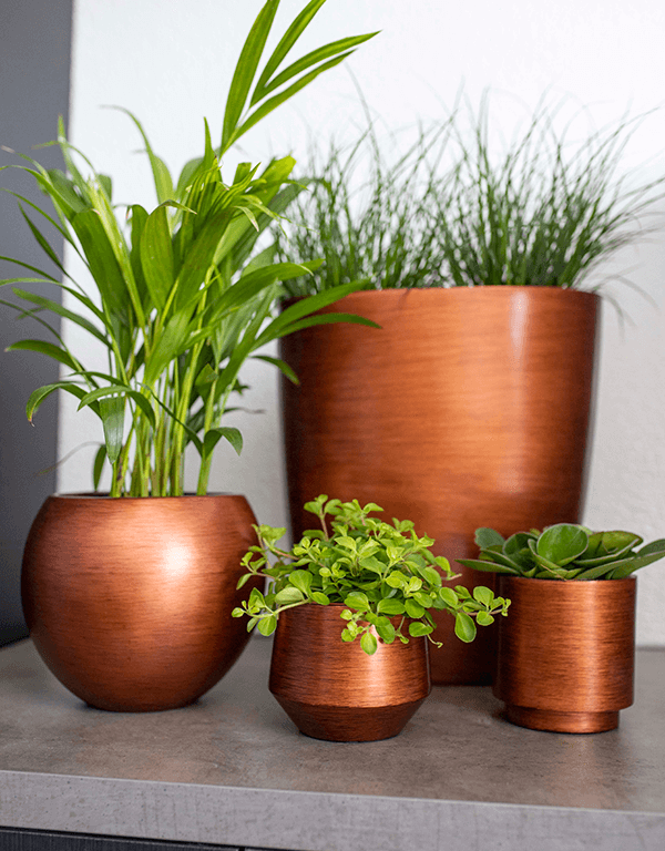 Plantenbak Capi Lux Retro Bronze Ø15×16 cm