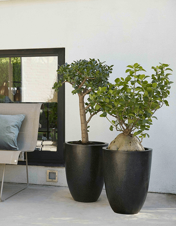 Plantenbak Capi Lux Terrazzo Zwart Ø46×58 cm