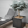 Plantenbak Capi Lux Terrazzo Zwart 60x60x60 cm