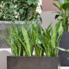 Plantenbak Capi Lux Terrazzo Zwart 88x28x28 cm