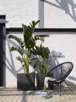 Plantenbak Capi Urban Smooth NL Zwart 40x40x40 cm