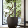 Plantenbak Capi Urban Smooth NL Zwart Ø54×52 cm