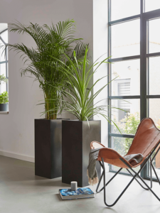 Plantenbak Capi Urban Smooth NL Zwart 36x36x79 cm