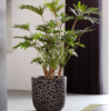 Plantenbak Capi Nature Clay NL Antraciet Ø43×41 cm