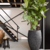 Plantenbak Capi Nature Clay NL Antraciet Ø56×85 cm