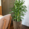 Plantenbak Capi Nature Groove NL Goud Ø34×46 cm