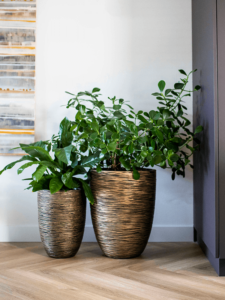 Plantenbak Capi Nature Rib NL Goud Ø34×46 cm