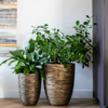 Plantenbak Capi Nature Rib NL Goud Ø46×58 cm