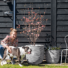 Plantenbak Capi Nature Rib NL Beige Ø55×53 cm