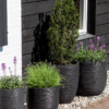 Plantenbak Capi Nature Rib NL Zwart Ø55×53 cm