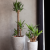 Plantenbak Capi Nature Rib NL Beige Ø46×58 cm