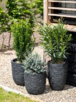 Plantenbak Plantenbak