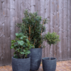 Plantenbak Capi Waste Rib NL Grijs Ø46×58 cm