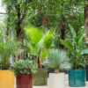 Plantenbak Cylinder Rood Ø50×50 cm