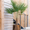 Plantenbak Cylinder Goud Ø40×40 cm