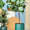 Plantenbak Cylinder Blauw Ø40×40 cm