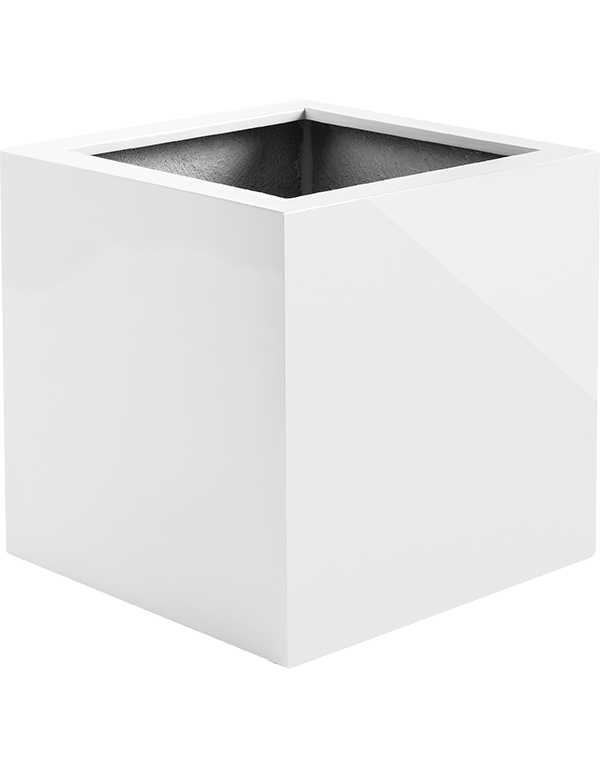 Plantenbak Argento Wit 50x50x50 cm
