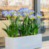 Plantenbak Argento Grijs 80x30x30 cm
