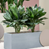 Plantenbak Argento Grijs 80x30x30 cm