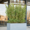 Plantenbak Argento Grijs 90x40x40 cm