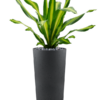 Plantenbak Grigio Antraciet Ø36×68 cm