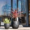 Plantenbak Grigio Antraciet Ø42×42 cm