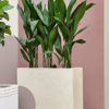 Plantenbak Grigio Beige 80x30x68 cm