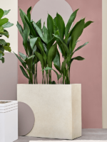 Plantenbak Grigio Beige 80x30x68 cm