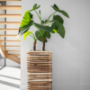 Plantenbak Marrone Orizzontale Bruin 51x51x98 cm