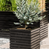 Plantenbak Marrone Orizzontale (met inzetbak) Zwart
  50x50x51 cm