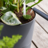 Plantenbak Greensense Aqua Care Antraciet Ø35×34 cm