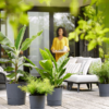 Plantenbak Greensense Aqua Care Antraciet Ø35×34 cm