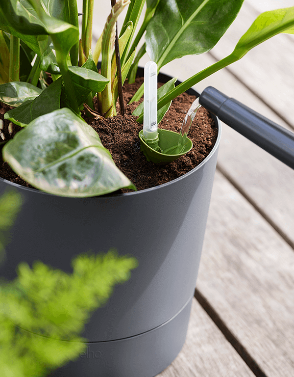 Plantenbak Greensense Aqua Care Antraciet Ø43×34 cm