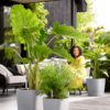 Plantenbak Greensense Aqua Care Grijs 38x38x39 cm