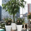 Plantenbak Loft Urban Wit Ø69×62 cm