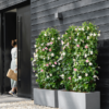 Plantenbak Vivo Next Grijs 59x30x29 cm